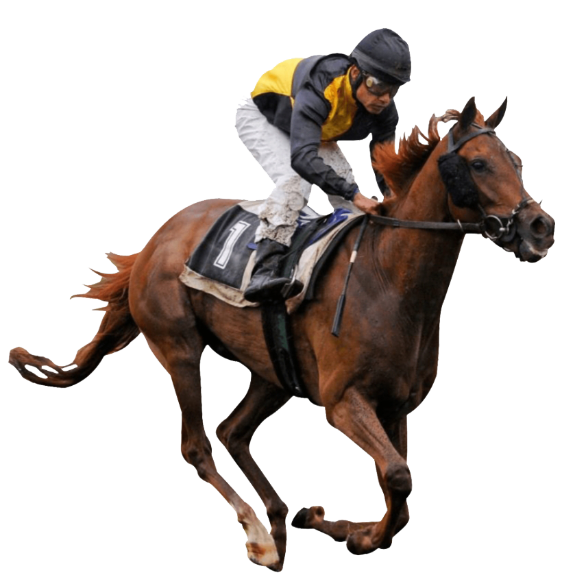 TipMan Tips premium sports betting tips